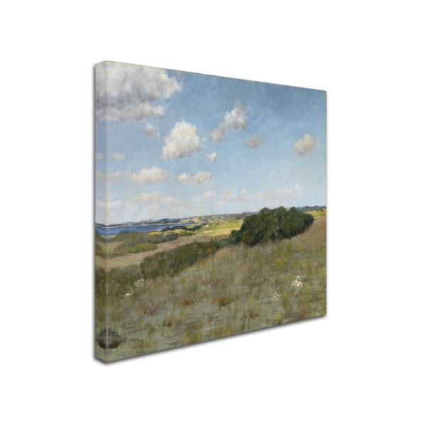 William Merritt Chase 'Shinnicock Hills' Canvas Art,14x14